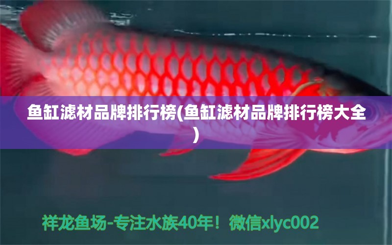 魚缸濾材品牌排行榜(魚缸濾材品牌排行榜大全)