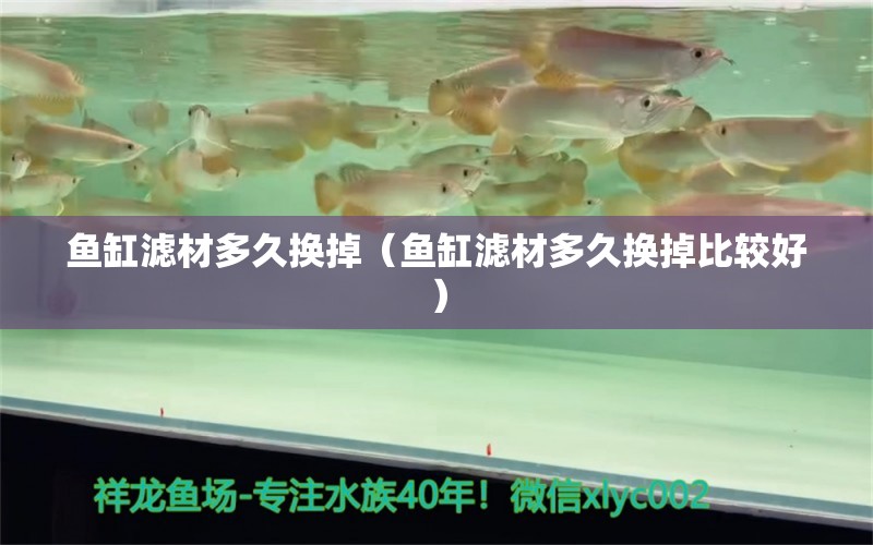 魚缸濾材多久換掉（魚缸濾材多久換掉比較好）