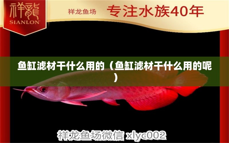 魚缸濾材干什么用的（魚缸濾材干什么用的呢） 魟魚百科