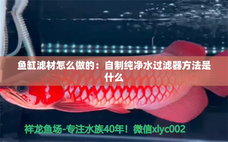 魚缸濾材怎么做的：自制純凈水過濾器方法是什么 養(yǎng)魚的好處 第1張