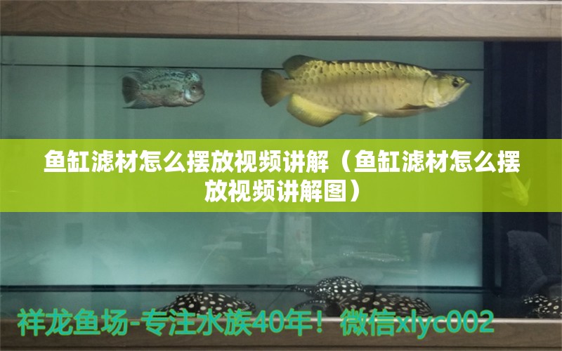 魚缸濾材怎么擺放視頻講解（魚缸濾材怎么擺放視頻講解圖） 海水魚