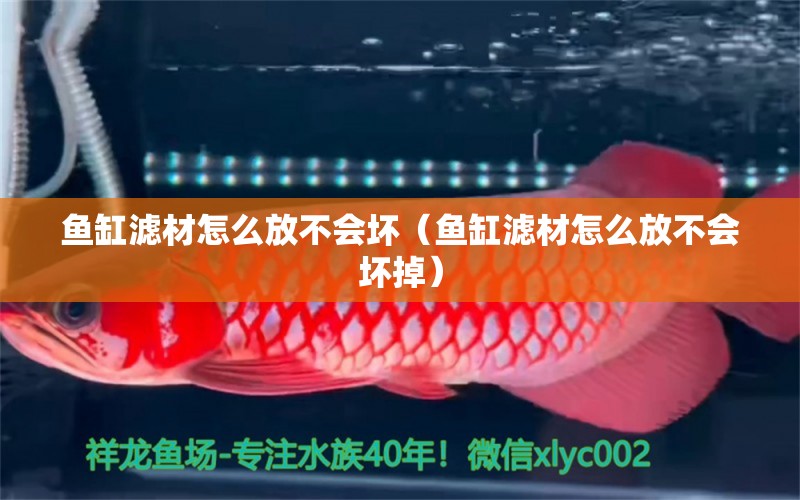 魚(yú)缸濾材怎么放不會(huì)壞（魚(yú)缸濾材怎么放不會(huì)壞掉）