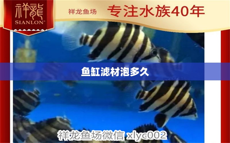 魚缸濾材泡多久