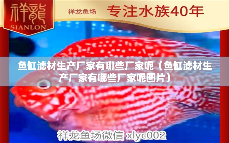 魚缸濾材生產(chǎn)廠家有哪些廠家呢（魚缸濾材生產(chǎn)廠家有哪些廠家呢圖片）