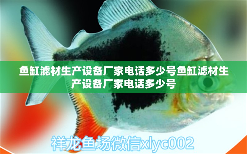 魚(yú)缸濾材生產(chǎn)設(shè)備廠家電話多少號(hào)魚(yú)缸濾材生產(chǎn)設(shè)備廠家電話多少號(hào) 白子黃化銀龍魚(yú)