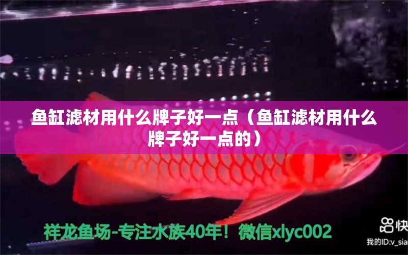 魚缸濾材用什么牌子好一點（魚缸濾材用什么牌子好一點的）