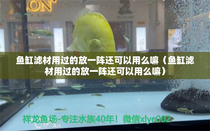 魚缸濾材用過的放一陣還可以用么嘛（魚缸濾材用過的放一陣還可以用么嘛）