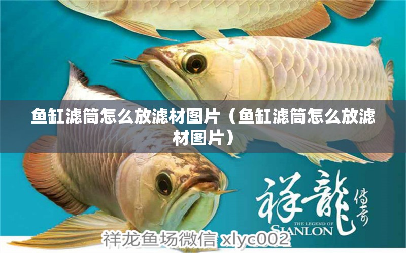 魚缸濾筒怎么放濾材圖片（魚缸濾筒怎么放濾材圖片）