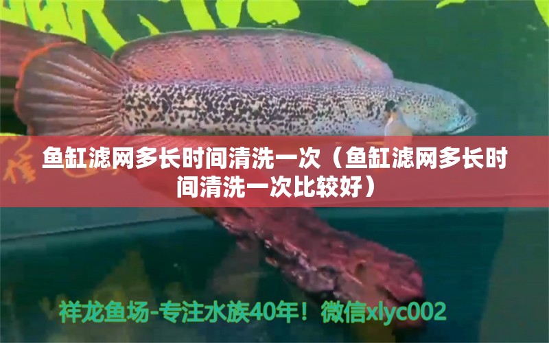 魚缸濾網(wǎng)多長時(shí)間清洗一次（魚缸濾網(wǎng)多長時(shí)間清洗一次比較好）