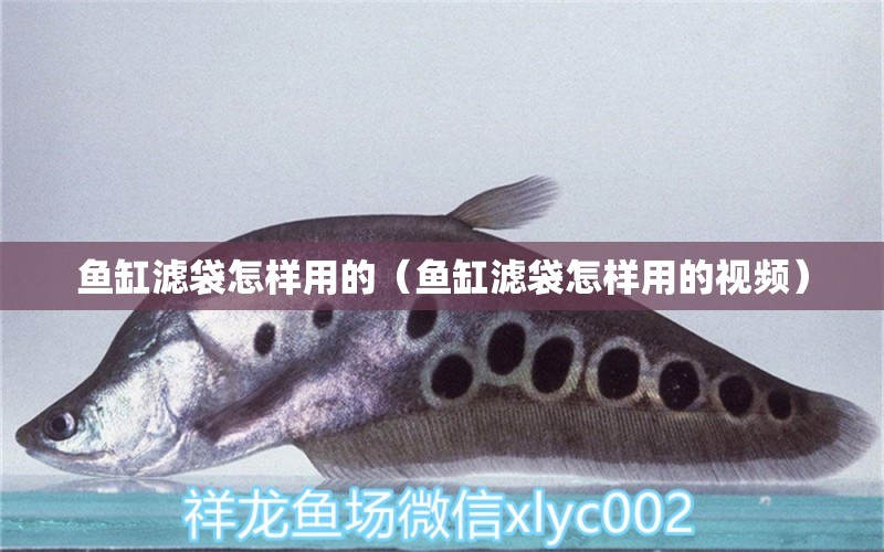 魚缸濾袋怎樣用的（魚缸濾袋怎樣用的視頻）