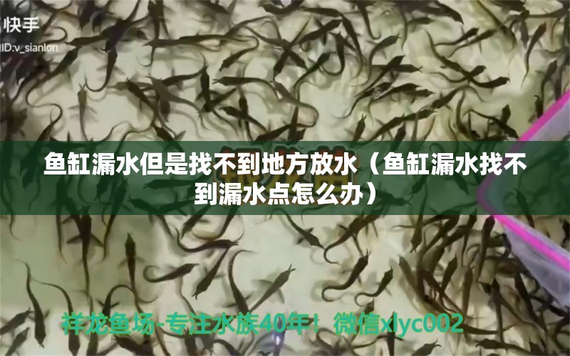 魚缸漏水但是找不到地方放水（魚缸漏水找不到漏水點怎么辦） 印尼虎苗