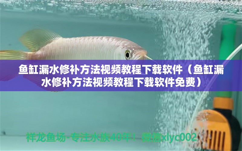 魚缸漏水修補方法視頻教程下載軟件（魚缸漏水修補方法視頻教程下載軟件免費）