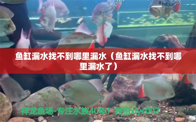 魚缸漏水找不到哪里漏水（魚缸漏水找不到哪里漏水了） 申古三間魚