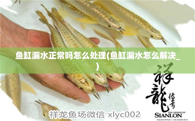 魚缸漏水正常嗎怎么處理(魚缸漏水怎么解決_) B級過背金龍魚