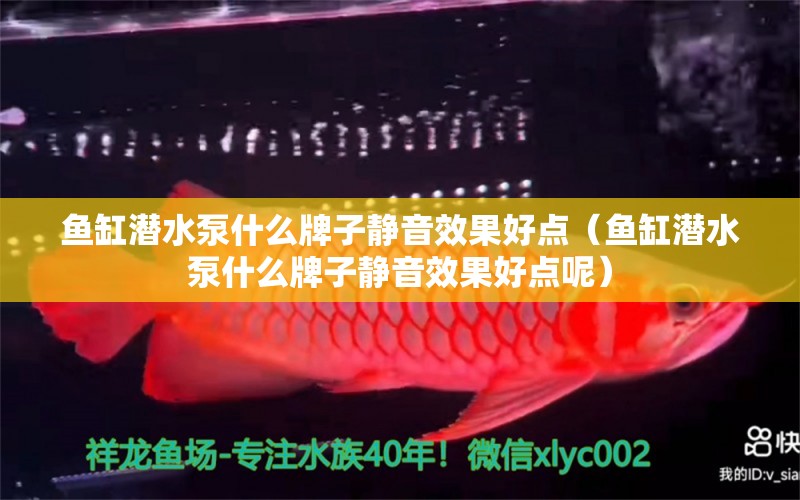 魚缸潛水泵什么牌子靜音效果好點（魚缸潛水泵什么牌子靜音效果好點呢）