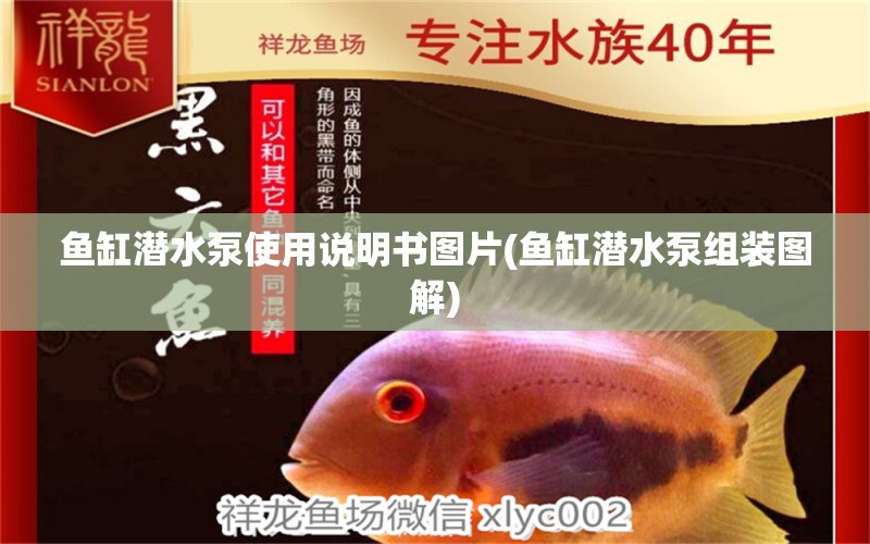 魚缸潛水泵使用說明書圖片(魚缸潛水泵組裝圖解) 朱巴利魚 第1張