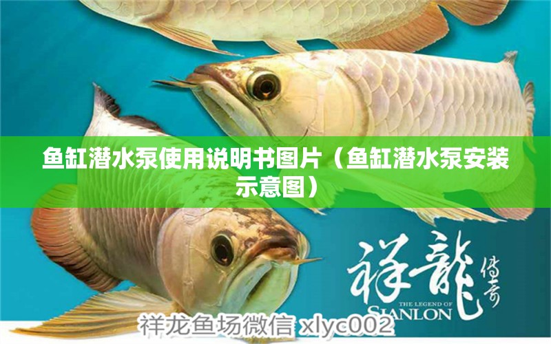 魚缸潛水泵使用說明書圖片（魚缸潛水泵安裝示意圖）