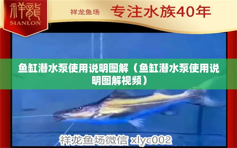 魚缸潛水泵使用說明圖解（魚缸潛水泵使用說明圖解視頻） 祥龍水族醫(yī)院