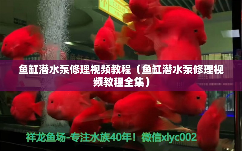 魚缸潛水泵修理視頻教程（魚缸潛水泵修理視頻教程全集）