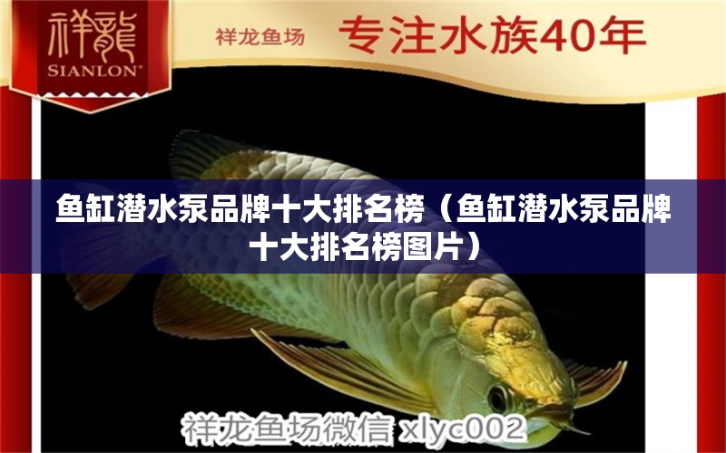 魚缸潛水泵品牌十大排名榜（魚缸潛水泵品牌十大排名榜圖片） 狗仔（招財貓)魚苗