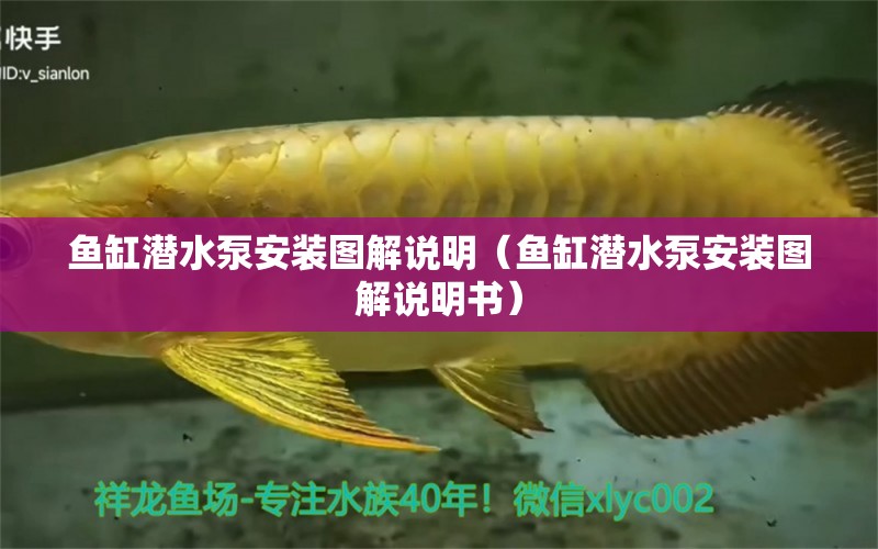 魚(yú)缸潛水泵安裝圖解說(shuō)明（魚(yú)缸潛水泵安裝圖解說(shuō)明書(shū)） 觀賞魚(yú)市場(chǎng)（混養(yǎng)魚(yú)）