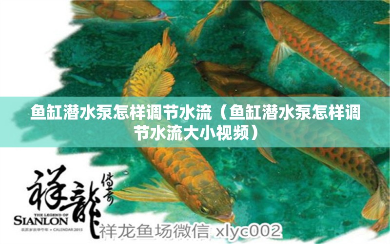 魚缸潛水泵怎樣調(diào)節(jié)水流（魚缸潛水泵怎樣調(diào)節(jié)水流大小視頻） 其他品牌魚缸