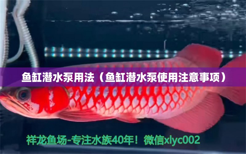 魚缸潛水泵用法（魚缸潛水泵使用注意事項）