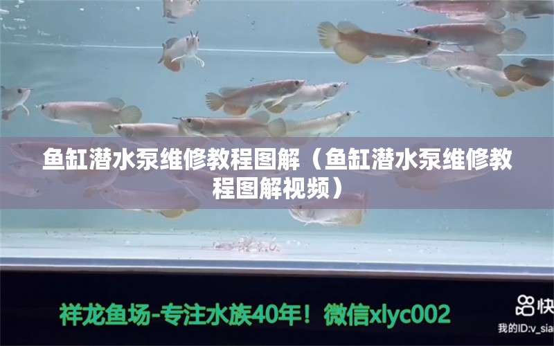 魚缸潛水泵維修教程圖解（魚缸潛水泵維修教程圖解視頻） 龍魚芯片掃碼器