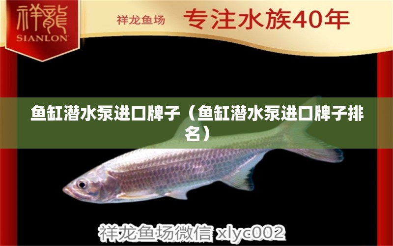 魚缸潛水泵進口牌子（魚缸潛水泵進口牌子排名）