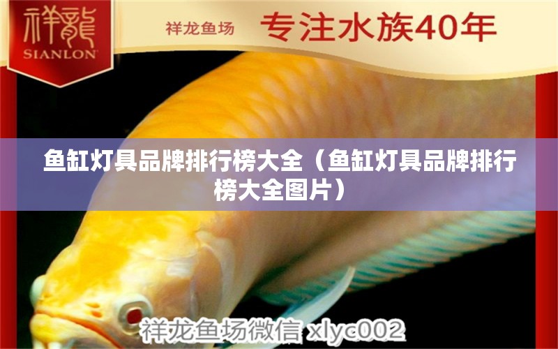 魚缸燈具品牌排行榜大全（魚缸燈具品牌排行榜大全圖片）