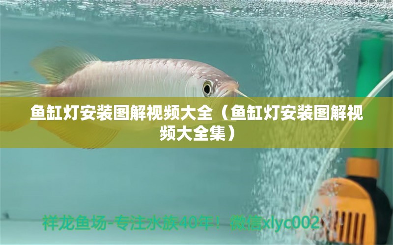 魚缸燈安裝圖解視頻大全（魚缸燈安裝圖解視頻大全集）