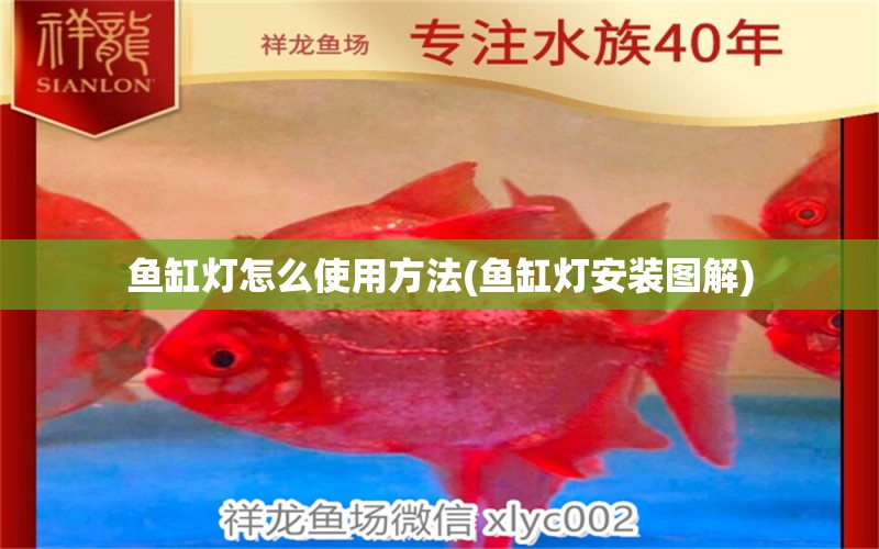 魚缸燈怎么使用方法(魚缸燈安裝圖解) 高背金龍魚