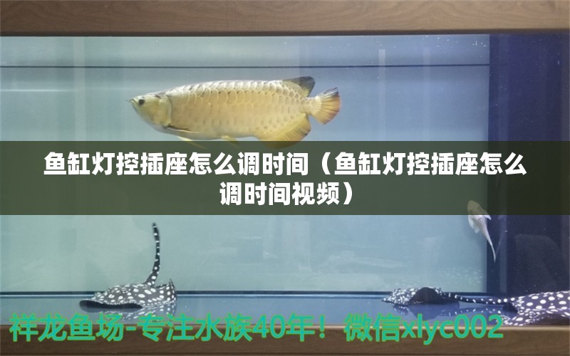 魚缸燈控插座怎么調(diào)時(shí)間（魚缸燈控插座怎么調(diào)時(shí)間視頻）