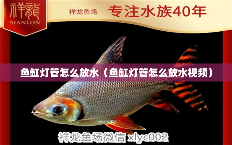 魚(yú)缸燈管怎么放水（魚(yú)缸燈管怎么放水視頻）