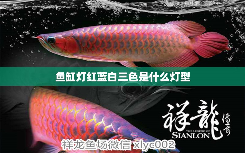 魚缸燈紅藍(lán)白三色是什么燈型