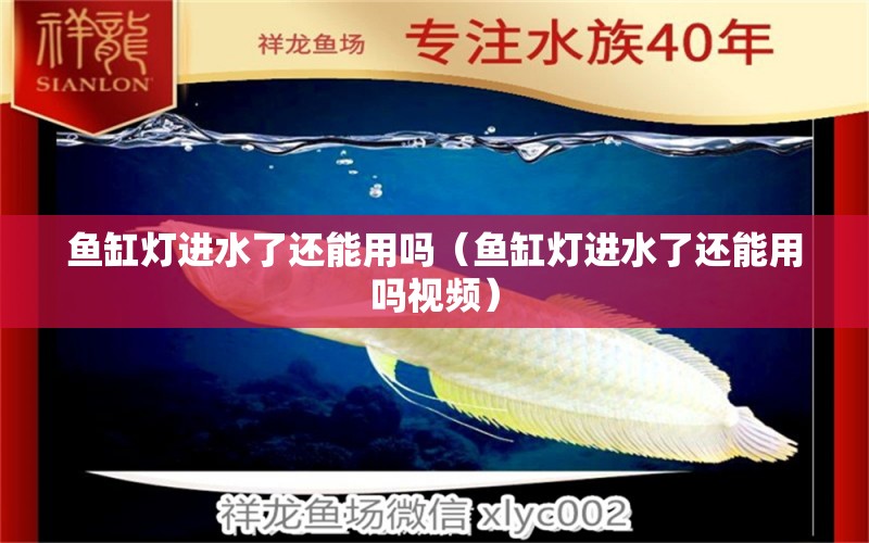 魚缸燈進(jìn)水了還能用嗎（魚缸燈進(jìn)水了還能用嗎視頻）