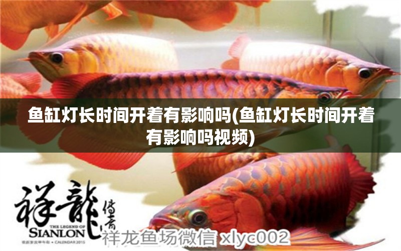 魚缸燈長(zhǎng)時(shí)間開著有影響嗎(魚缸燈長(zhǎng)時(shí)間開著有影響嗎視頻) 女王大帆魚苗 第1張