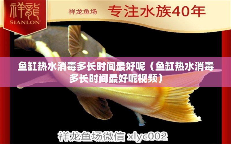 魚(yú)缸熱水消毒多長(zhǎng)時(shí)間最好呢（魚(yú)缸熱水消毒多長(zhǎng)時(shí)間最好呢視頻）