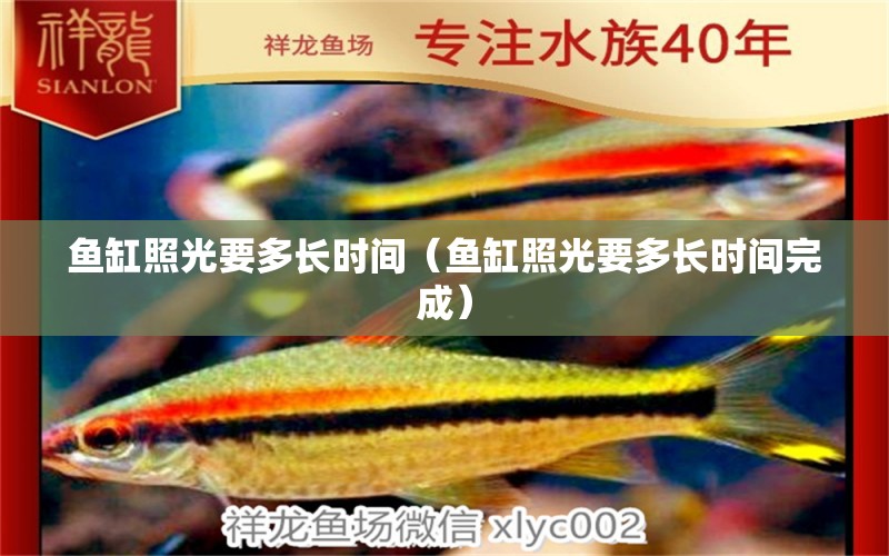 魚缸照光要多長時(shí)間（魚缸照光要多長時(shí)間完成）