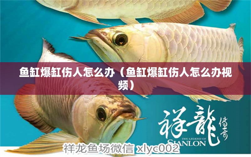 魚缸爆缸傷人怎么辦（魚缸爆缸傷人怎么辦視頻）