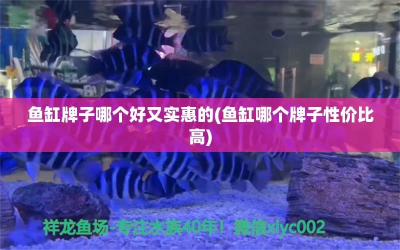 魚缸牌子哪個(gè)好又實(shí)惠的(魚缸哪個(gè)牌子性價(jià)比高) 龍魚疾病與治療