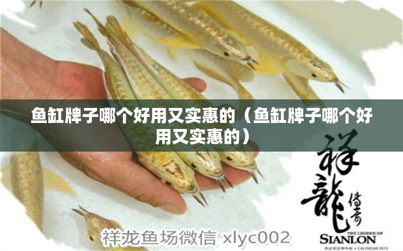 魚(yú)缸牌子哪個(gè)好用又實(shí)惠的（魚(yú)缸牌子哪個(gè)好用又實(shí)惠的）