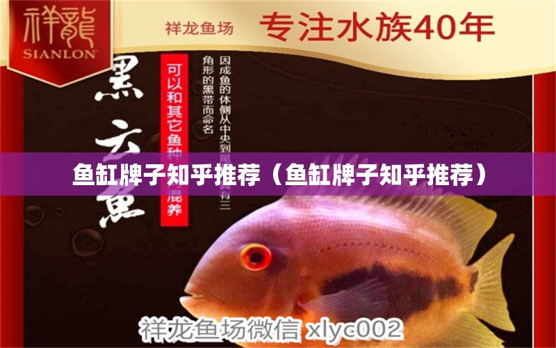 魚(yú)缸牌子知乎推薦（魚(yú)缸牌子知乎推薦）