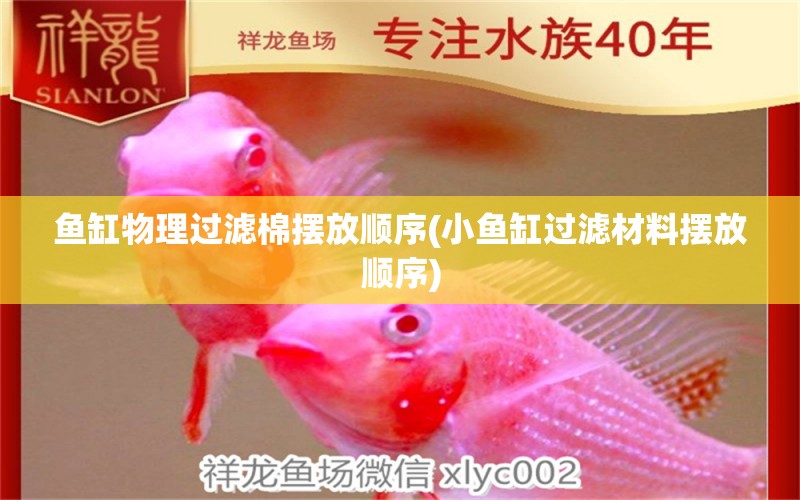 魚缸物理過濾棉擺放順序(小魚缸過濾材料擺放順序) 黑桃A魚苗 第1張