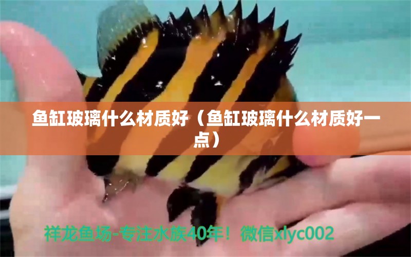 魚缸玻璃什么材質(zhì)好（魚缸玻璃什么材質(zhì)好一點(diǎn)）