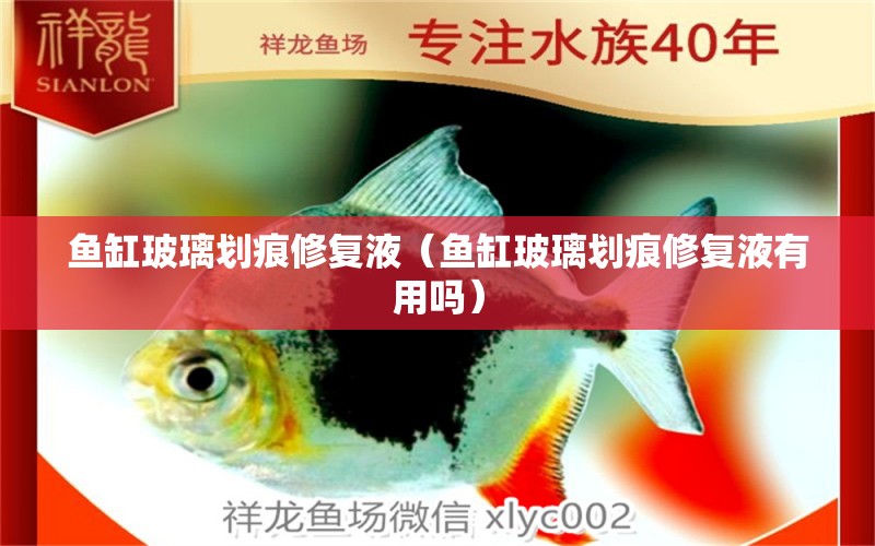 魚(yú)缸玻璃劃痕修復(fù)液（魚(yú)缸玻璃劃痕修復(fù)液有用嗎）