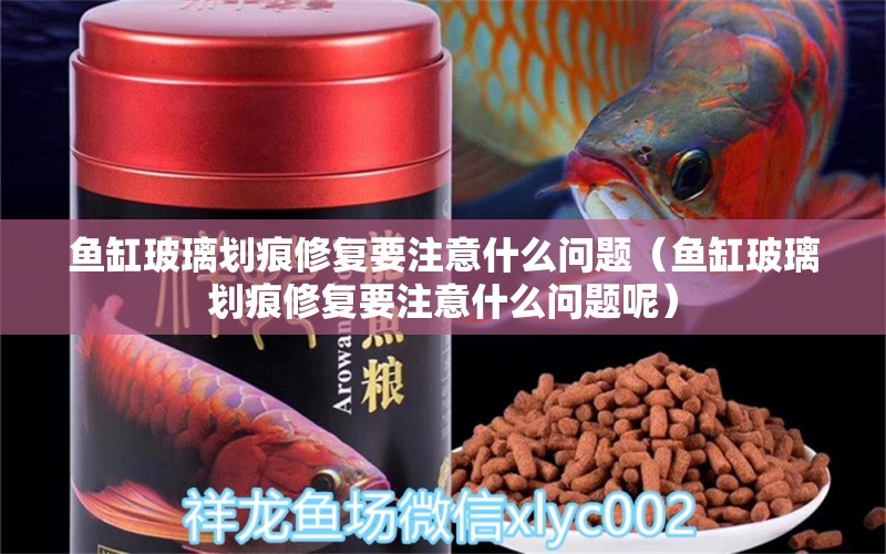 魚缸玻璃劃痕修復(fù)要注意什么問題（魚缸玻璃劃痕修復(fù)要注意什么問題呢）