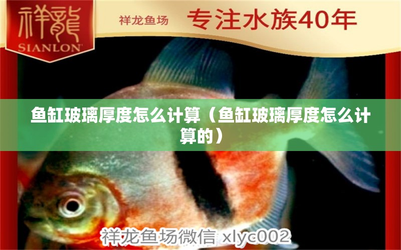 魚缸玻璃厚度怎么計算（魚缸玻璃厚度怎么計算的） 其他品牌魚缸