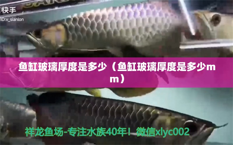 魚缸玻璃厚度是多少（魚缸玻璃厚度是多少mm） 其他品牌魚缸