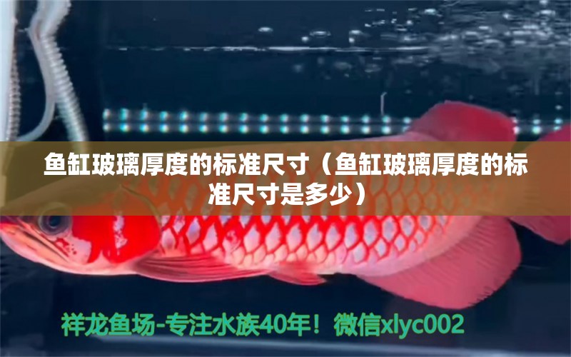 魚(yú)缸玻璃厚度的標(biāo)準(zhǔn)尺寸（魚(yú)缸玻璃厚度的標(biāo)準(zhǔn)尺寸是多少） 其他品牌魚(yú)缸